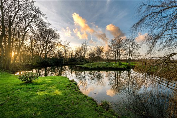 Wheatacre Hall Barns pond 